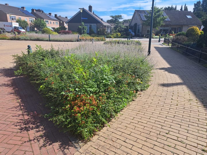 Foto 5 van Jan Steenstraat kavel 1