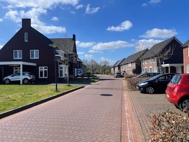 Photo 3 of Boekweit