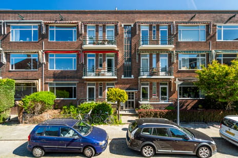 Nicolaas Ruyschstraat thumbnail