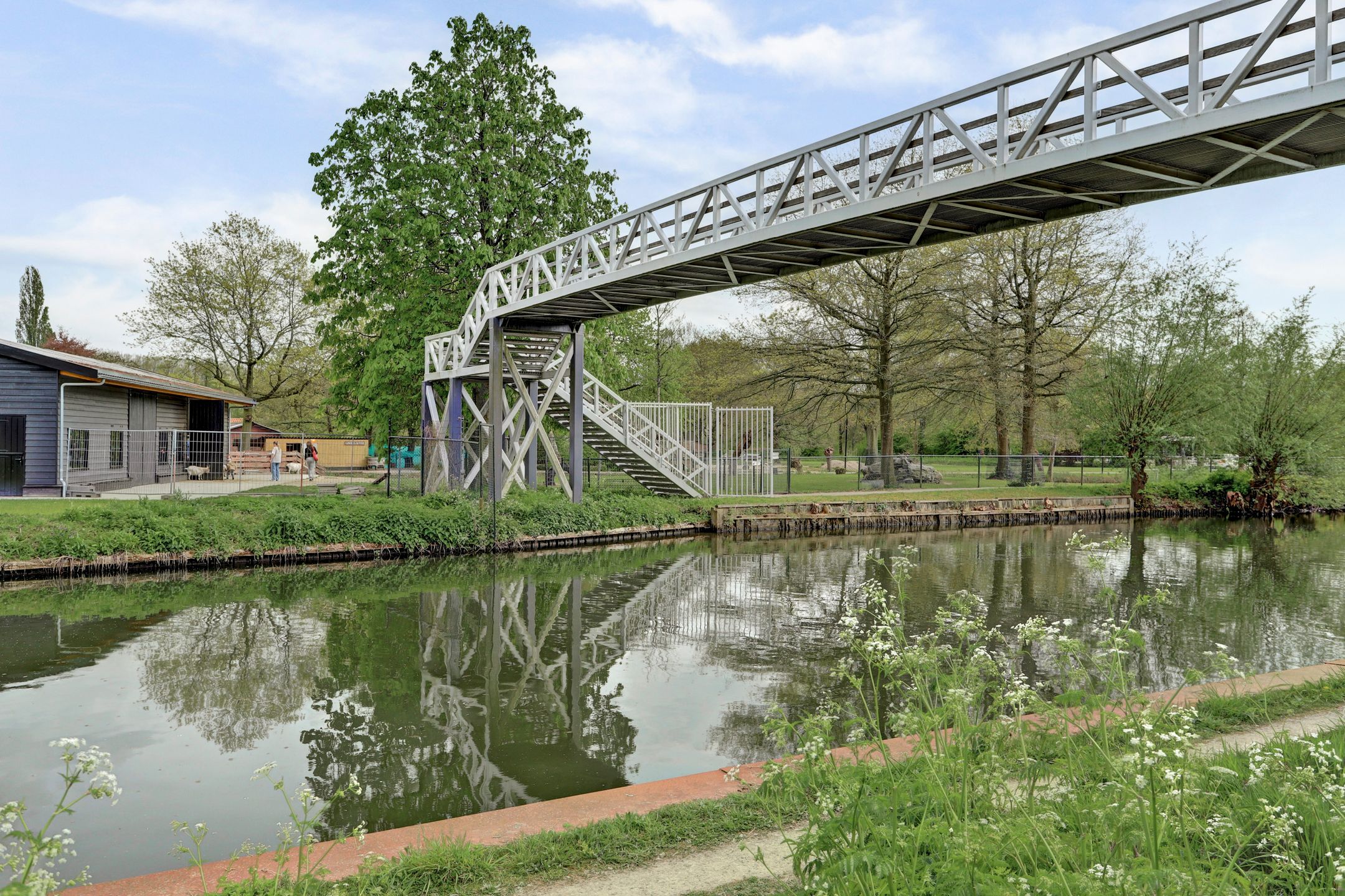 Photo 54 of Meerkoetsingel 5