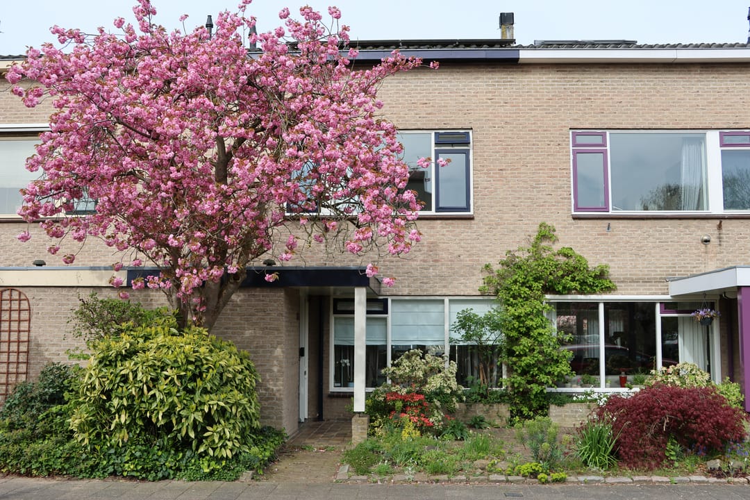 Photo 1 of De Hooghkamer 25