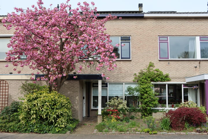 De Hooghkamer 25