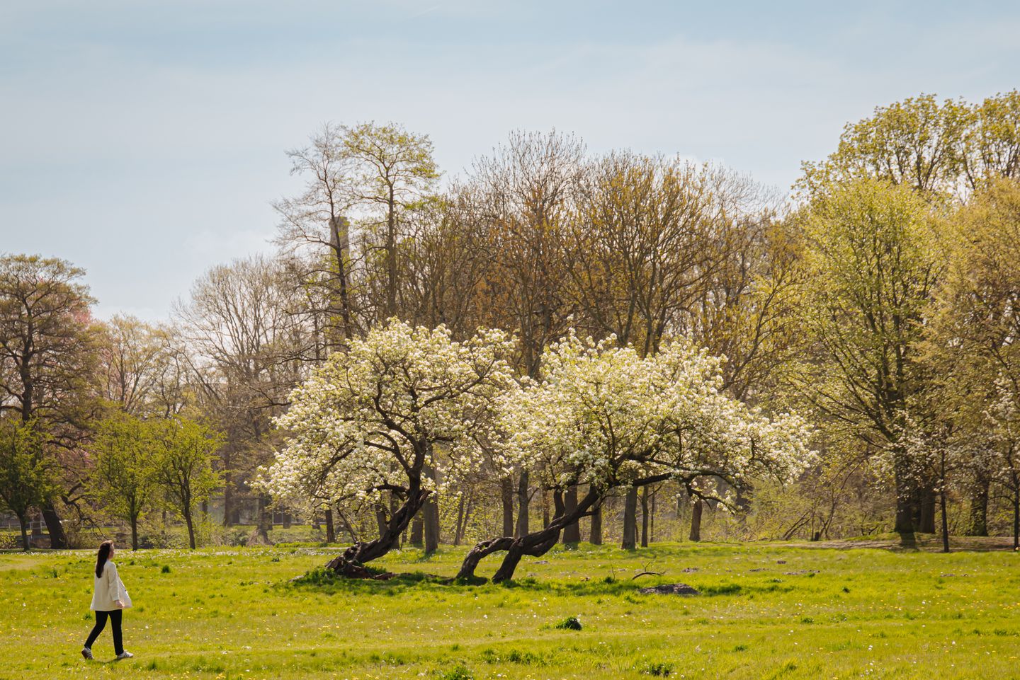 Foto 49 van Duin en Beeklaan 3