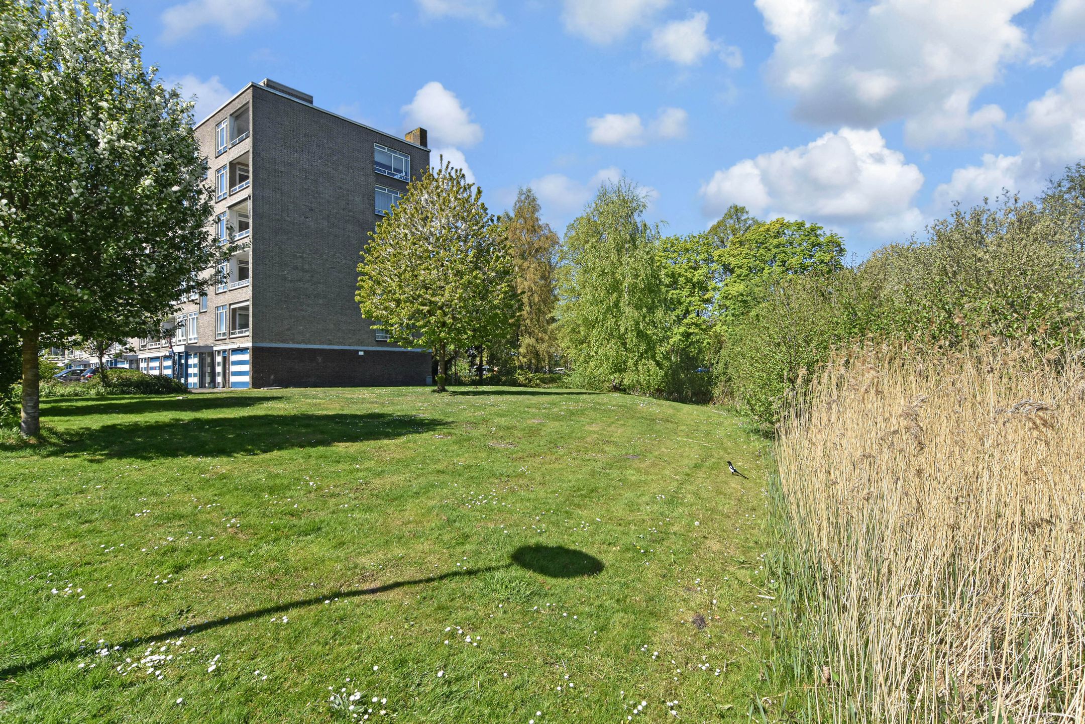 Photo 27 of Barnsteenhorst 386