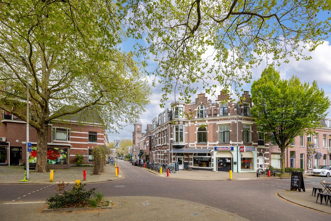 Foto 41 van Roggestraat 21