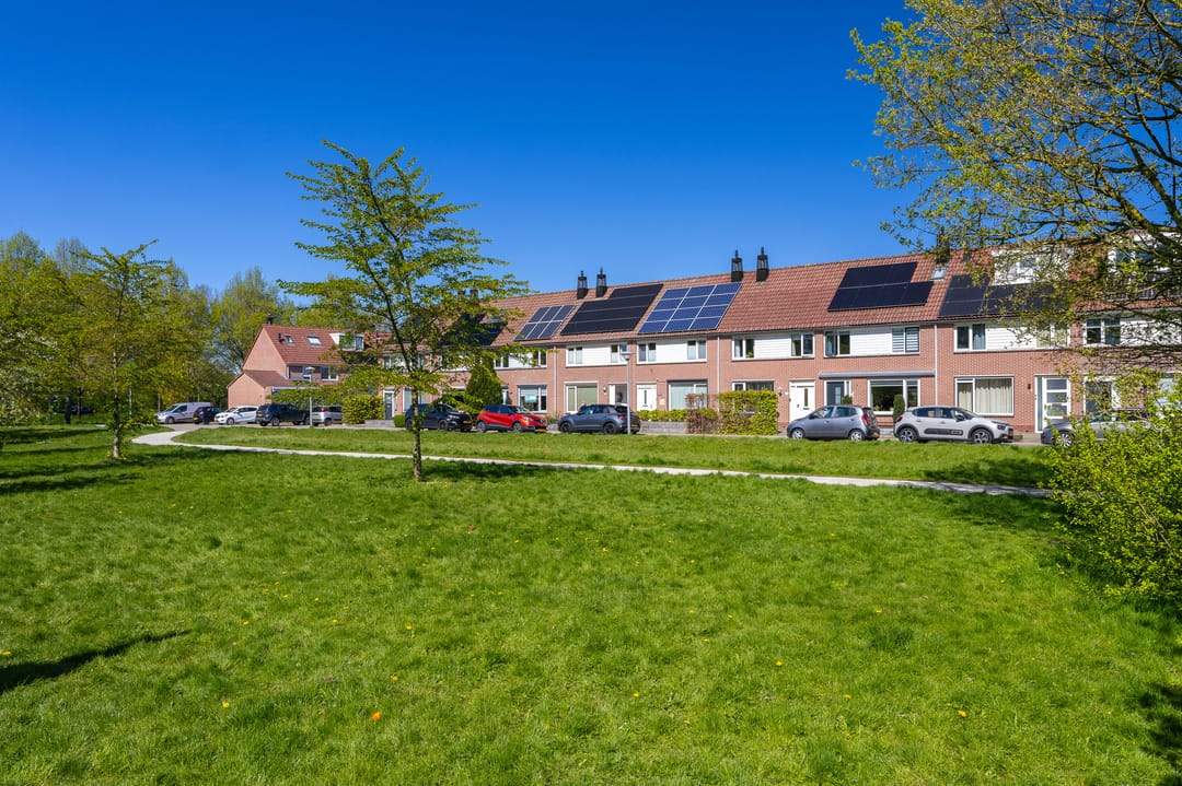 Photo 56 of Nachtegaal 100