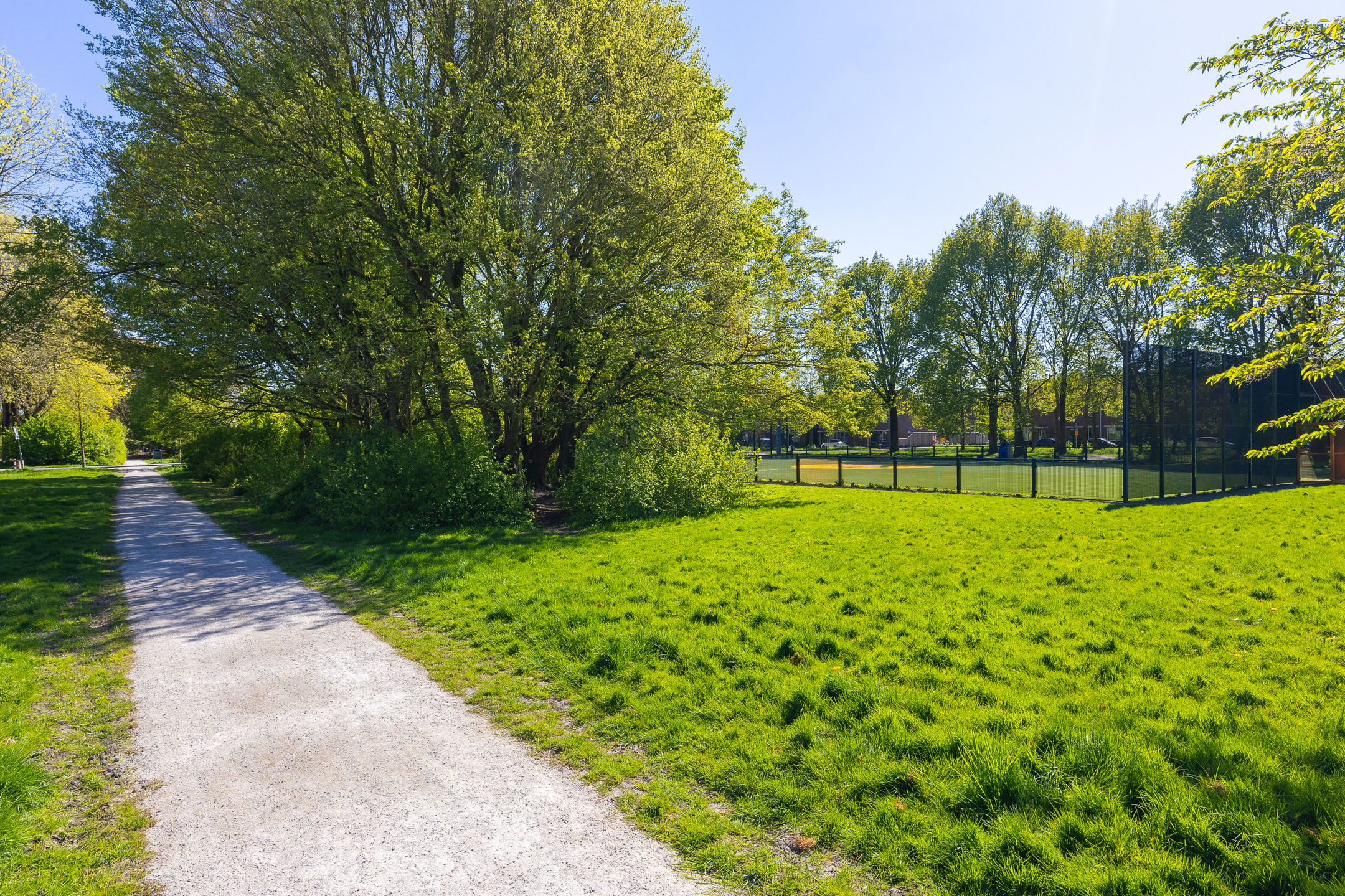 Photo 57 of Nachtegaal 100