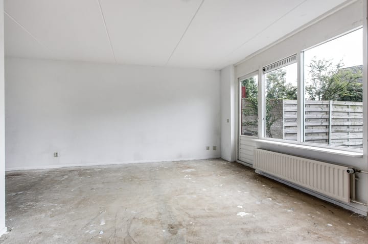 Foto 4 van Zirkoon 59