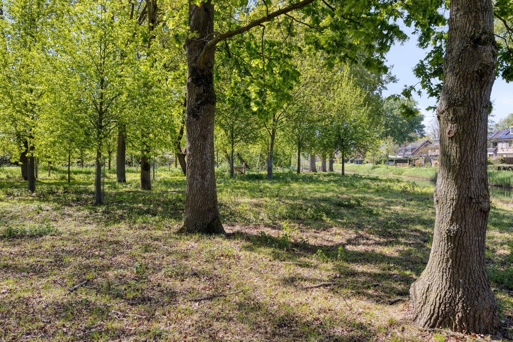 Photo 45 of Berkenlaan 2