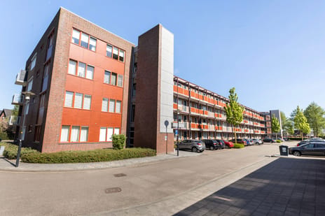 Meinsstraat thumbnail