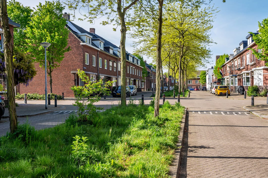 Foto 47 van Manresastraat 35