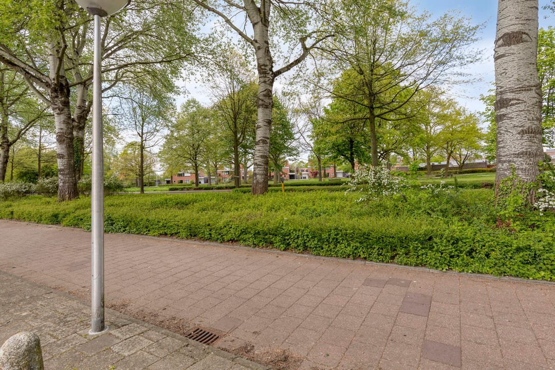 Photo 41 of Luiklaan 19