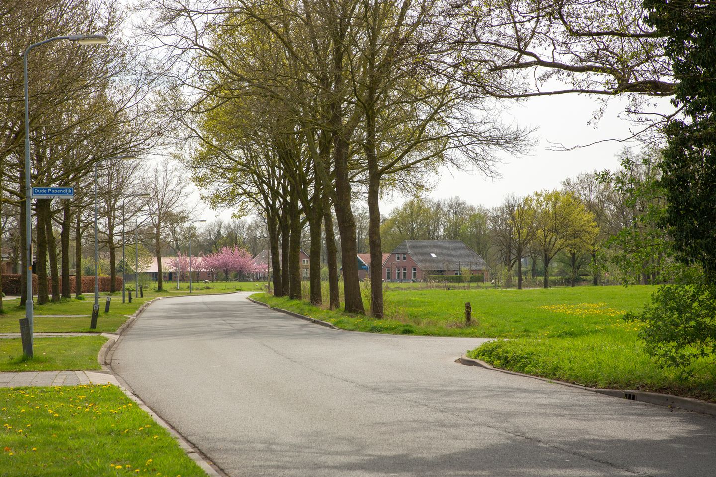 Photo 80 of Oude Papendijk 7