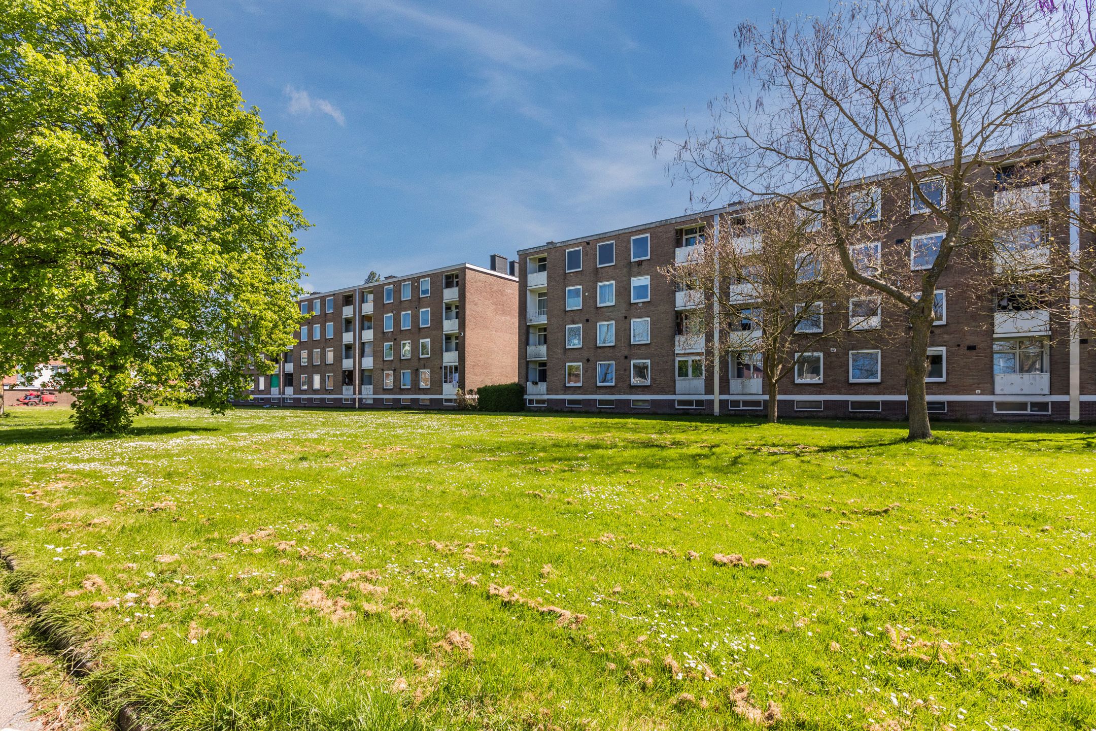 Foto 42 van Hertog Eduardstraat 22