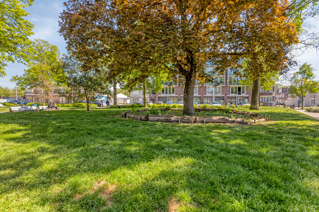Photo 53 of Hoefstraat 267