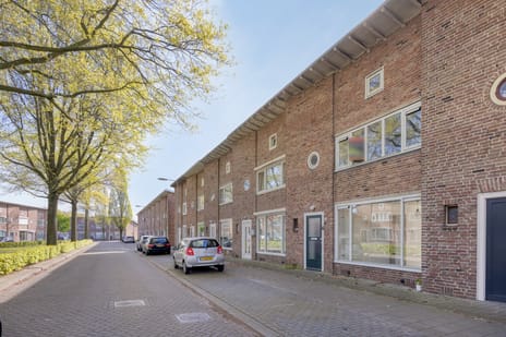 Johan van Bijnenstraat thumbnail