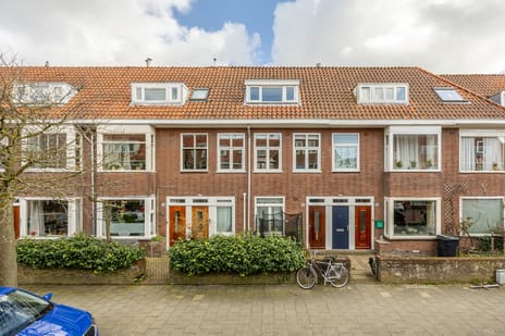 Van Zeggelenstraat thumbnail