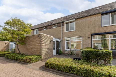 Dokter Bauerstraat thumbnail