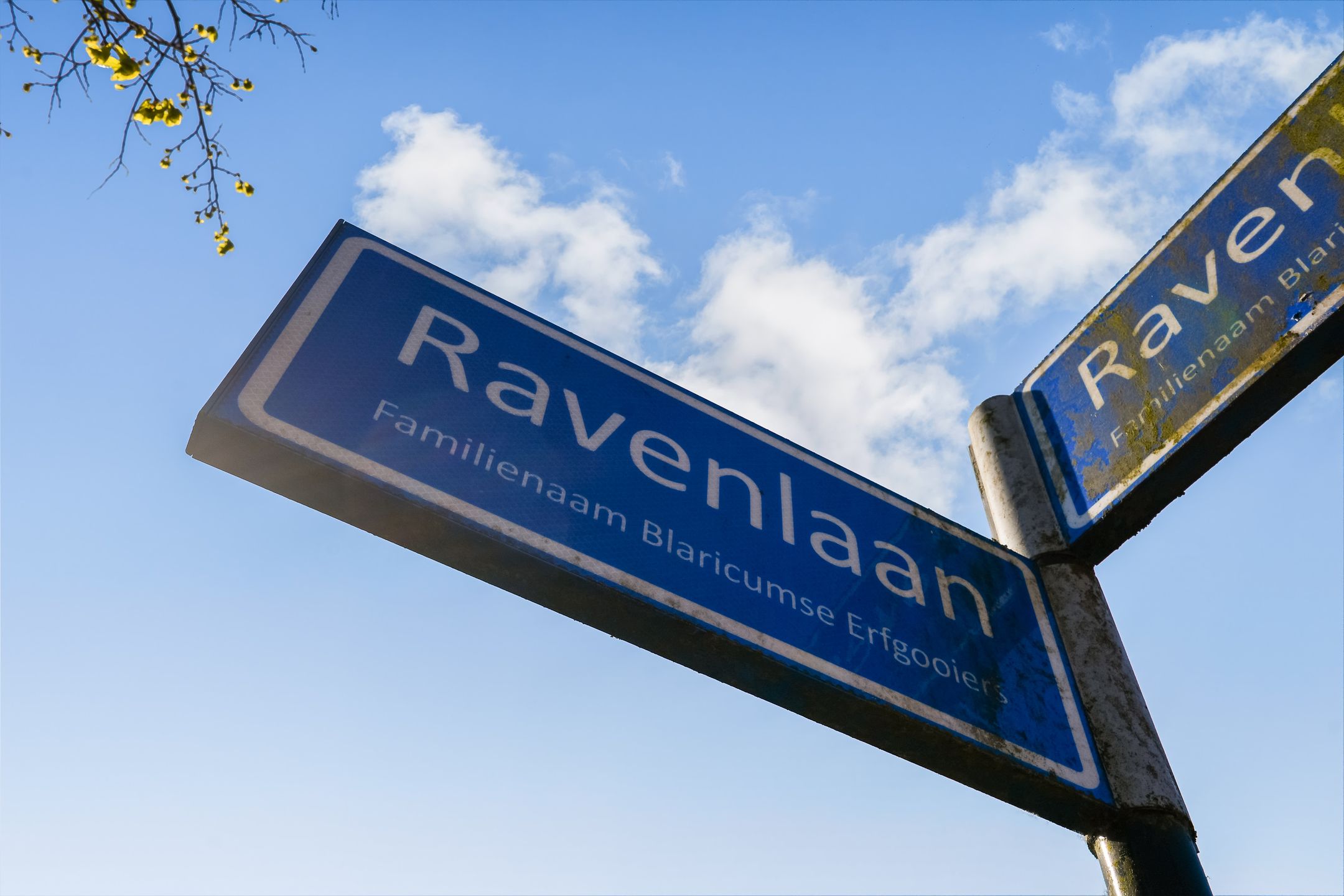 Photo 33 of Ravenlaan 19
