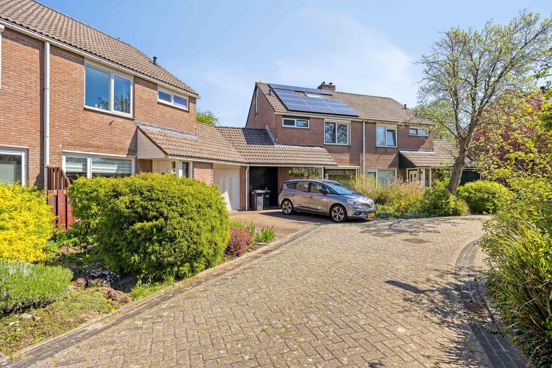 Photo 8 of Boterbloem 60