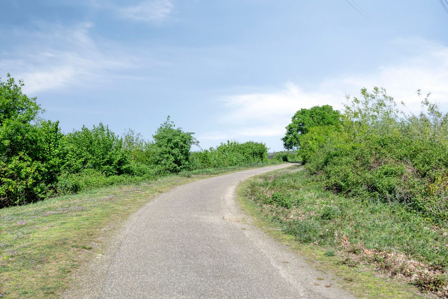 Foto 44 van Welallee 14