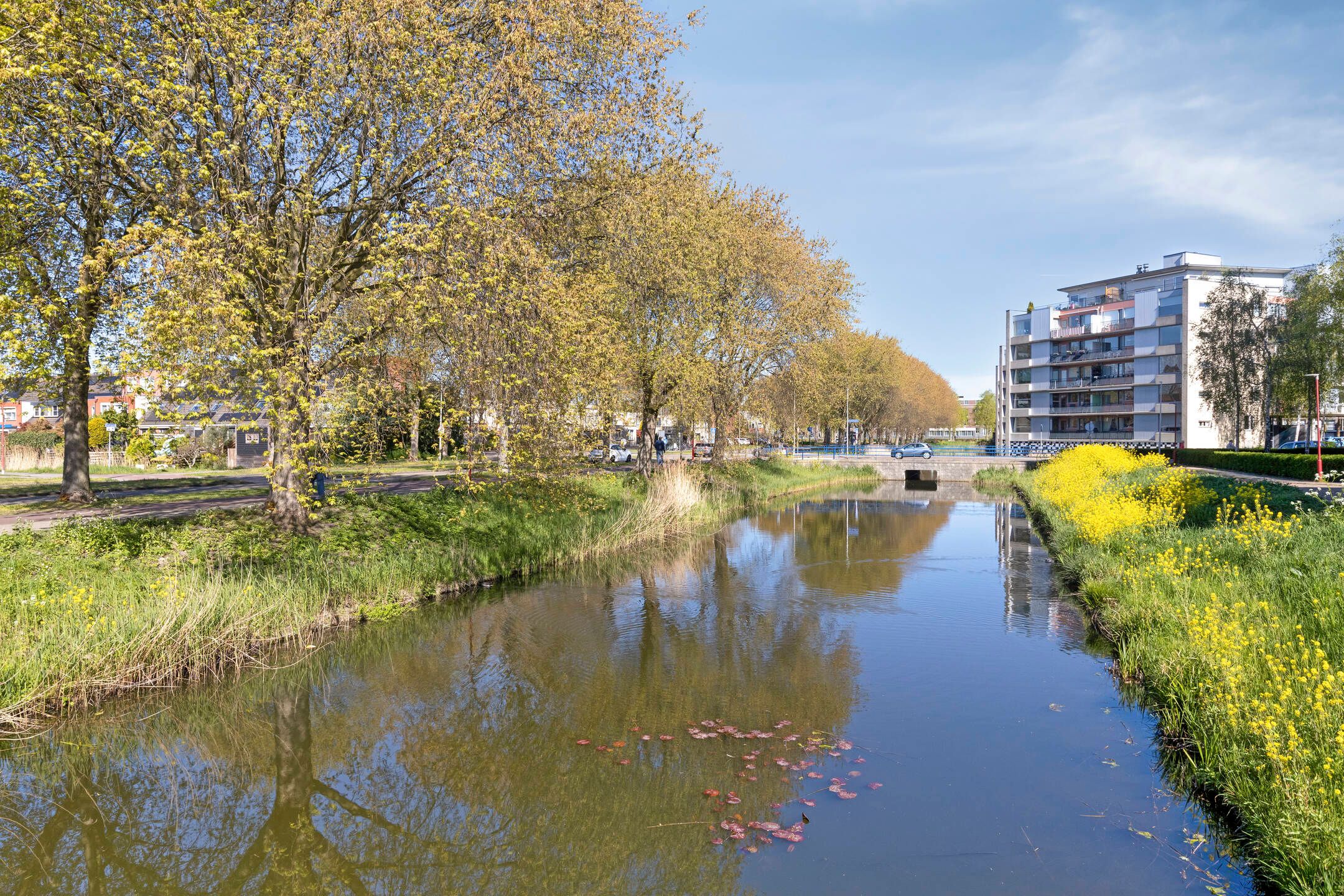 Foto 30 van Willemijngang 8