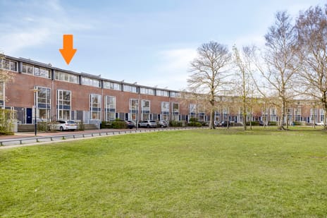 Brandts Buyspark thumbnail