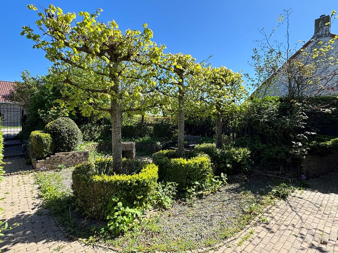 Foto 46 van Oranjedijk 25