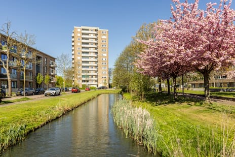 P.C. Boutensstraat thumbnail