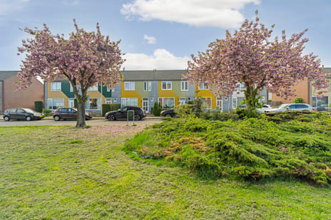 Van Tuyllplein thumbnail