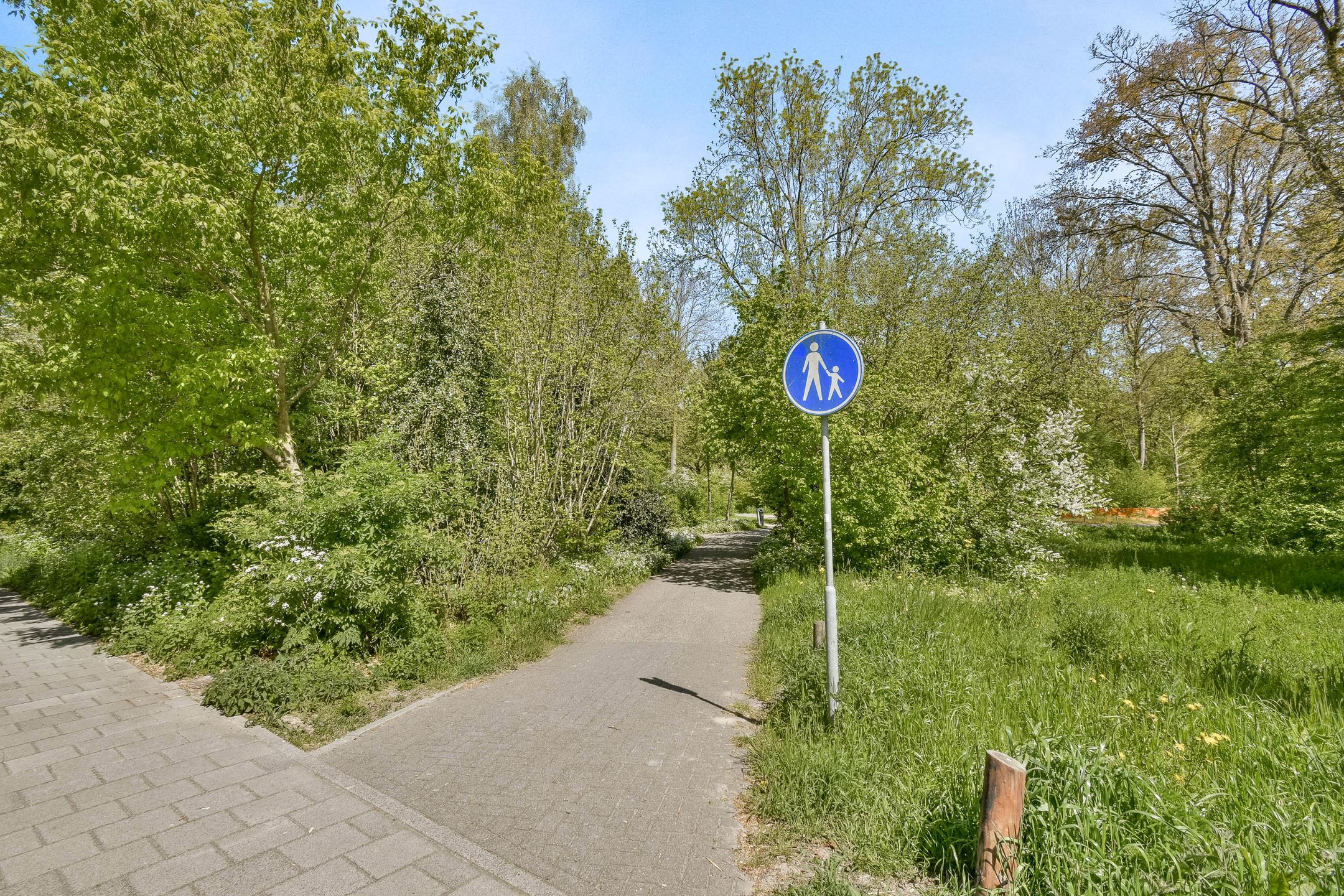 Photo 18 of Raaphorst 91