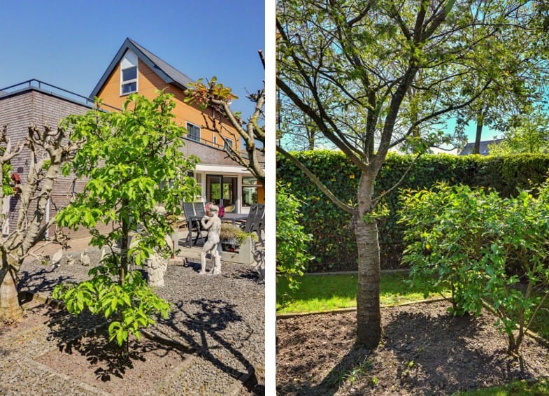 Photo 25 of Zwanebloem 4