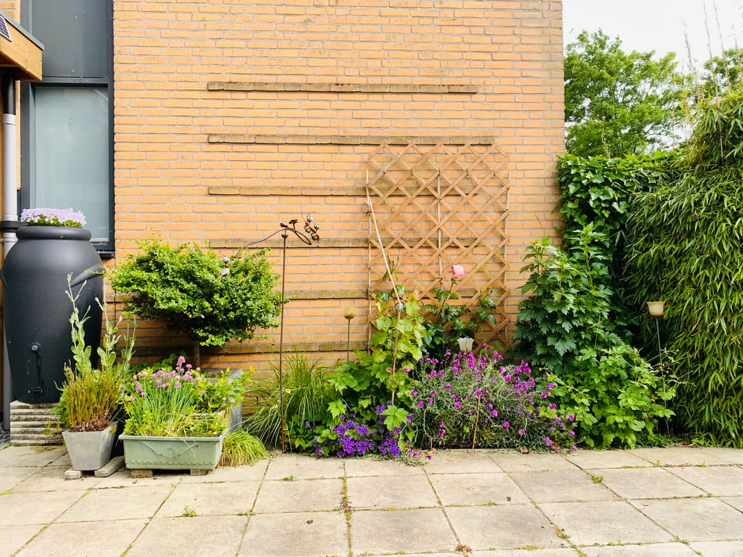 Photo 28 of Zwanebloem 4