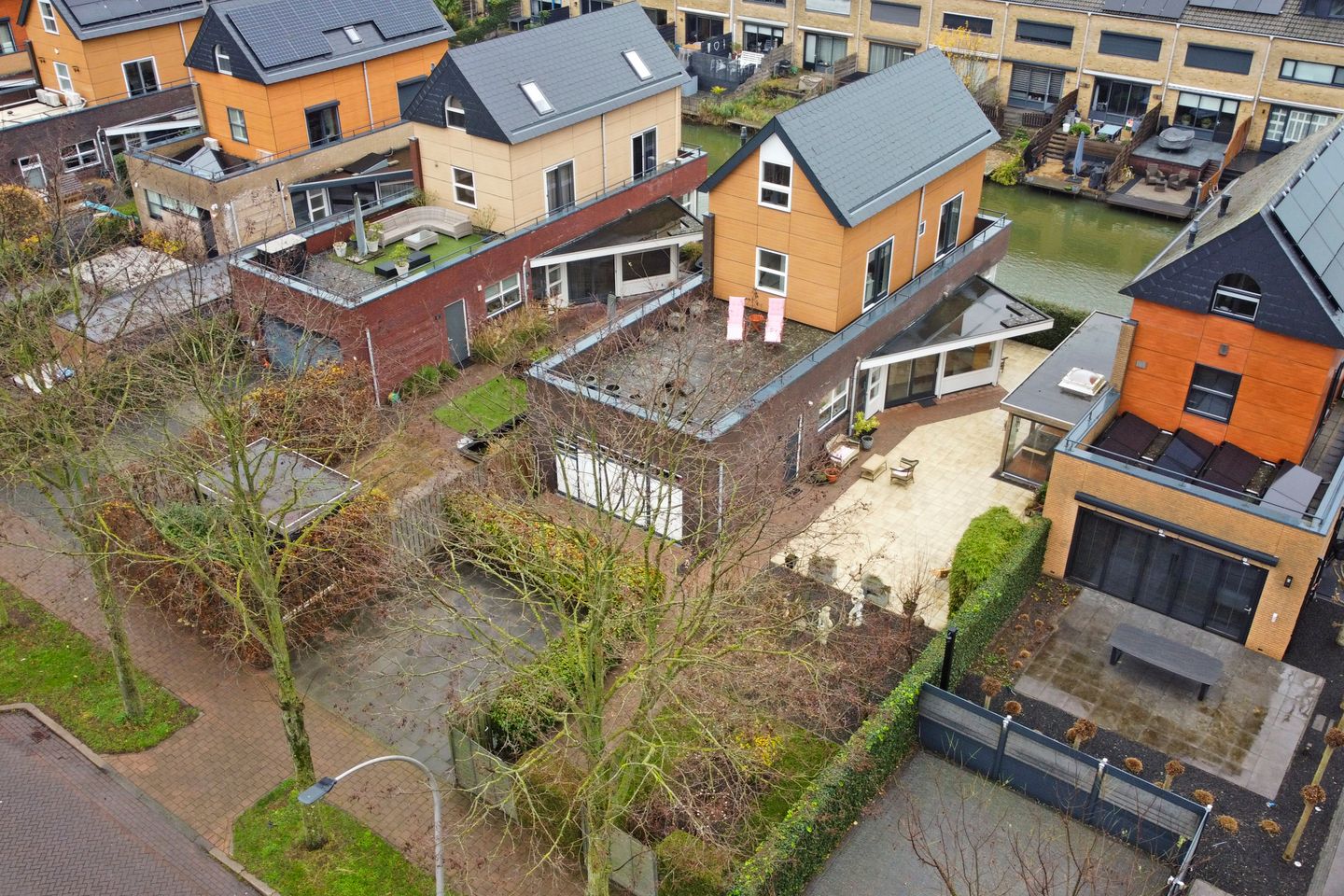 Photo 64 of Zwanebloem 4