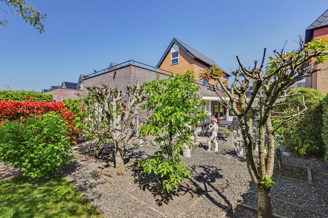 Photo 22 of Zwanebloem 4