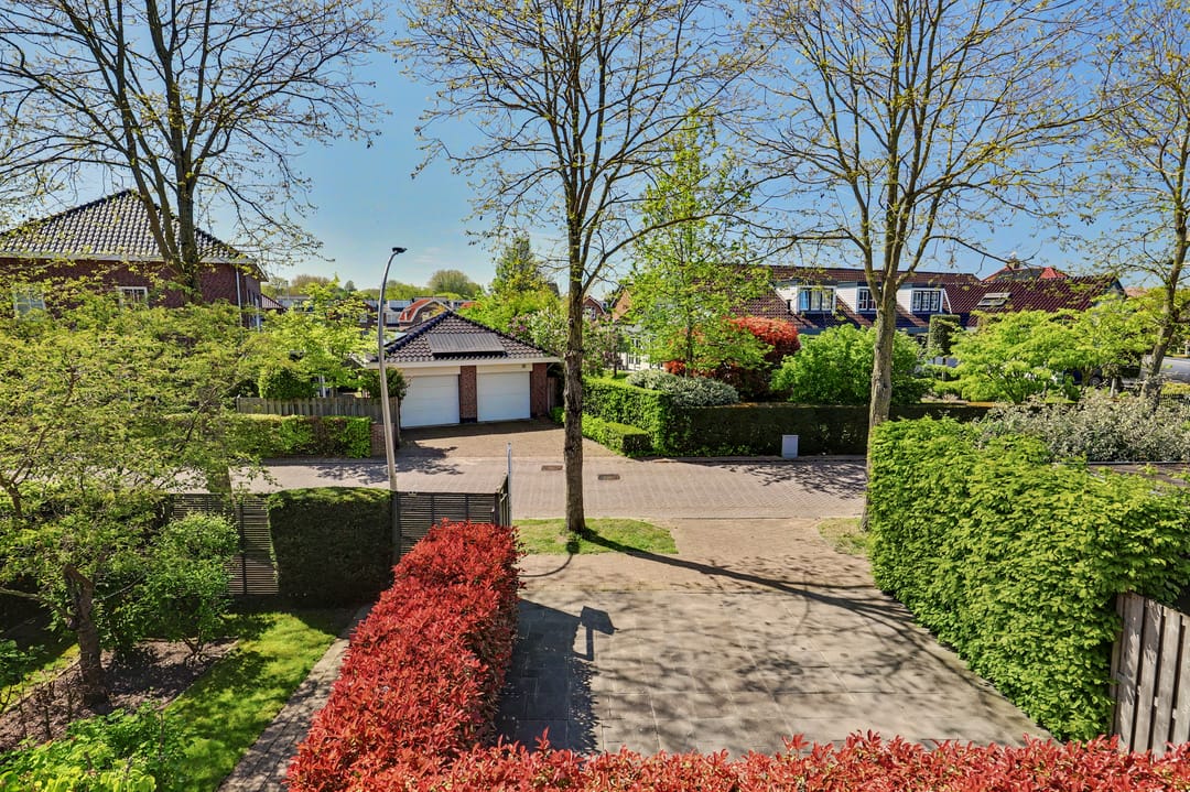 Photo 8 of Zwanebloem 4