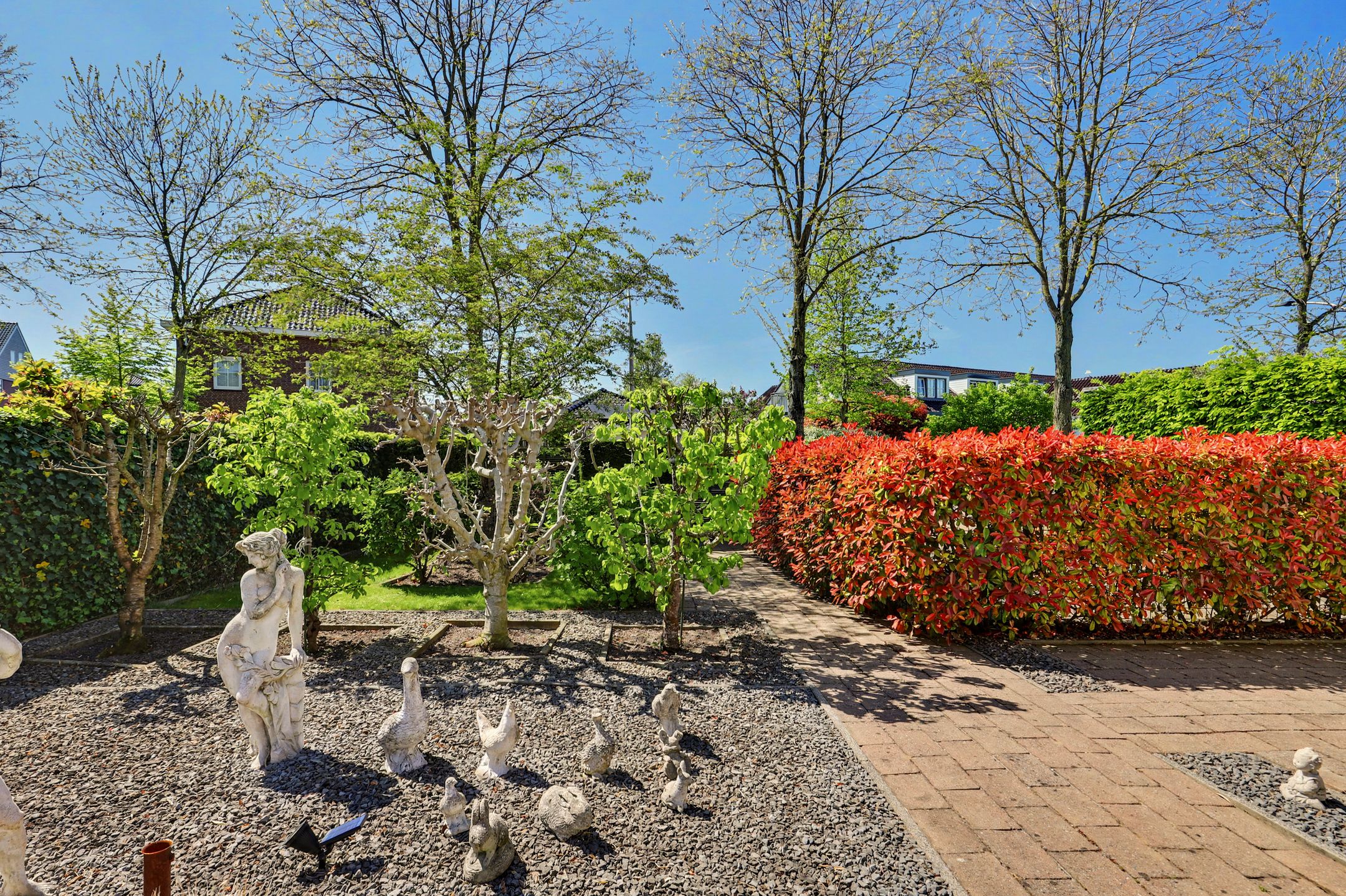 Photo 21 of Zwanebloem 4