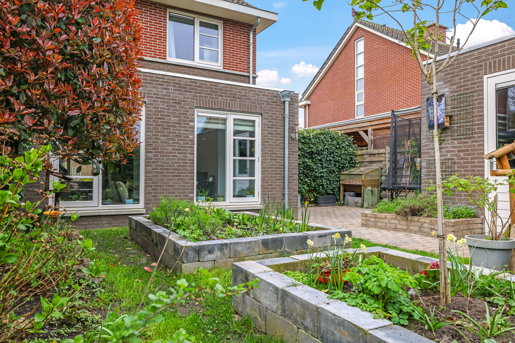 Foto 42 van Tarwestraat 42
