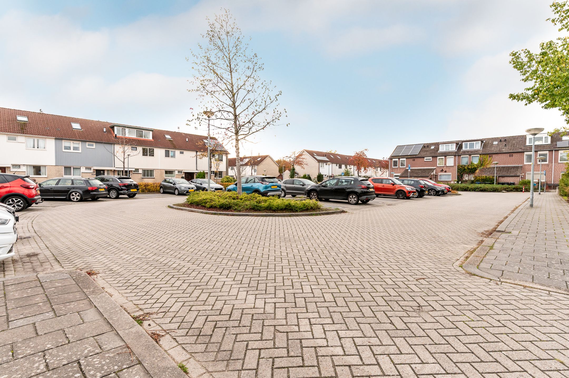 Foto 42 van Zaagvisplantsoen 52