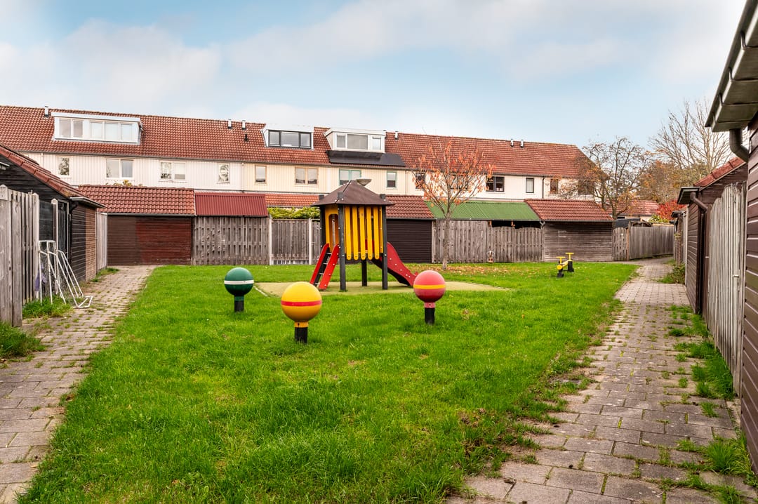 Foto 41 van Zaagvisplantsoen 52
