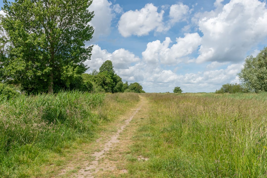 Photo 37 of Muiderzand 38