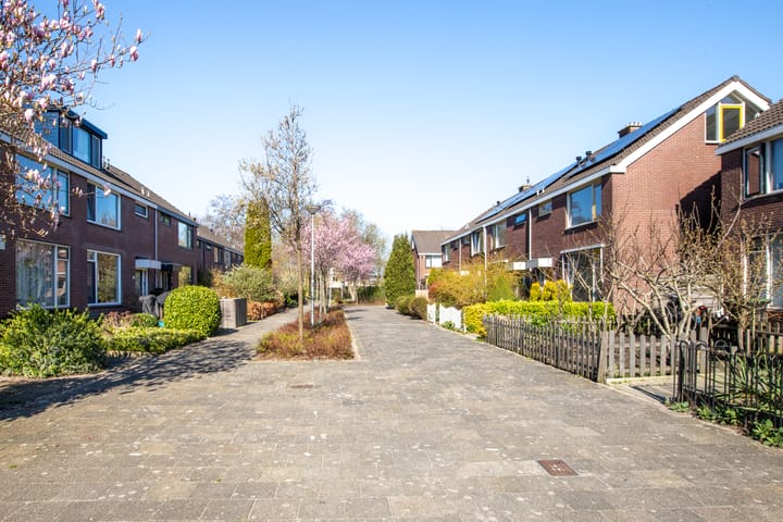 Foto 5 van Planciuslaan 10