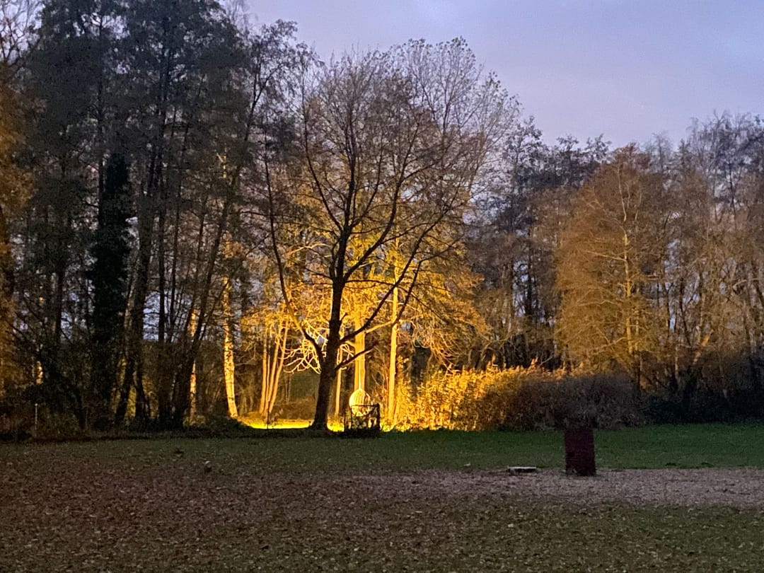 Photo 37 of Lemseloseveldweg 12