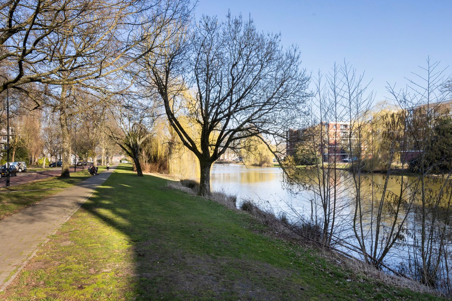 Photo 20 of Van Houtenstraat 54
