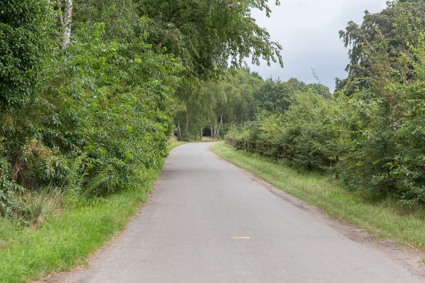 Foto 50 van Kerkendelweg 49-95