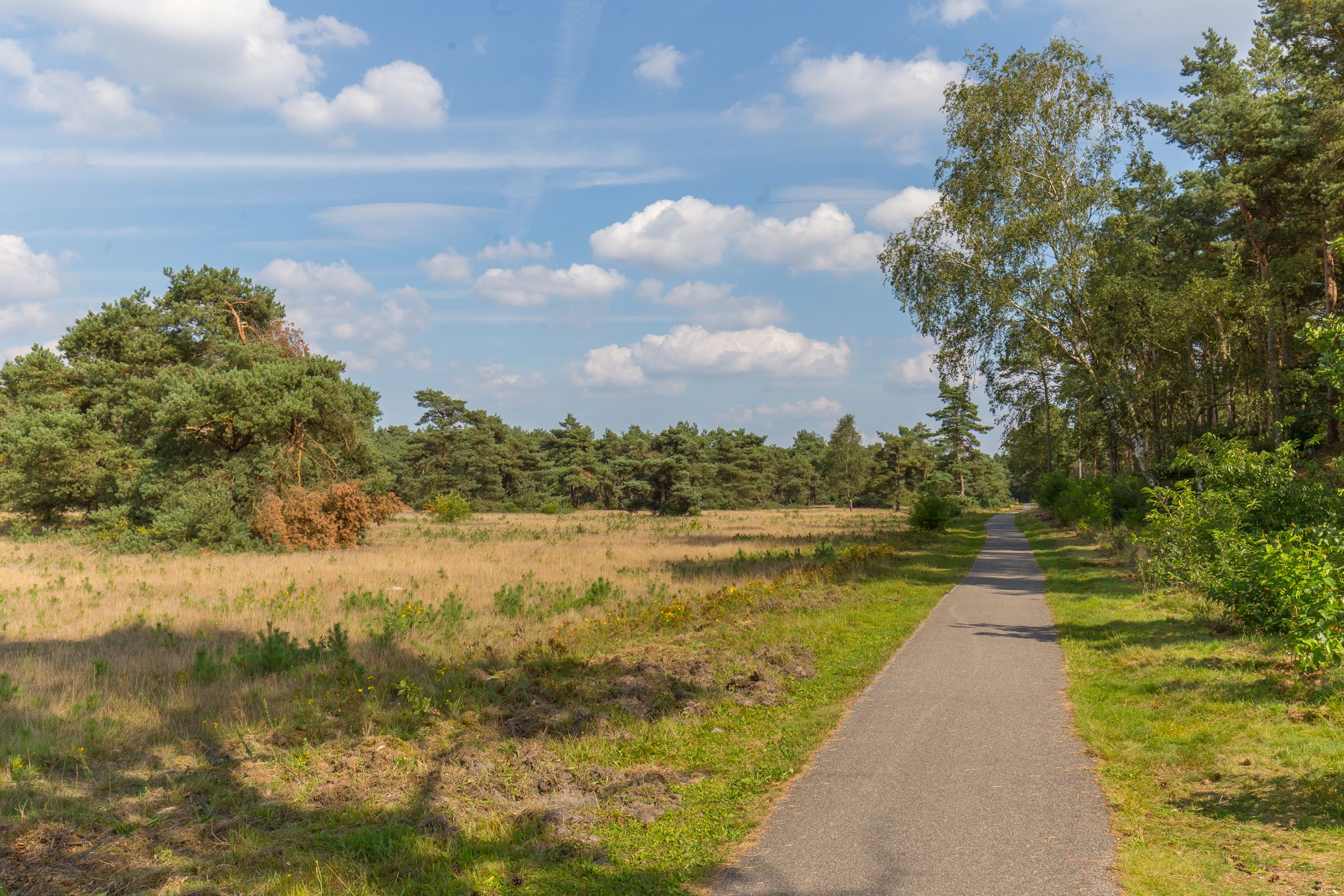 Foto 54 van Kerkendelweg 49-95