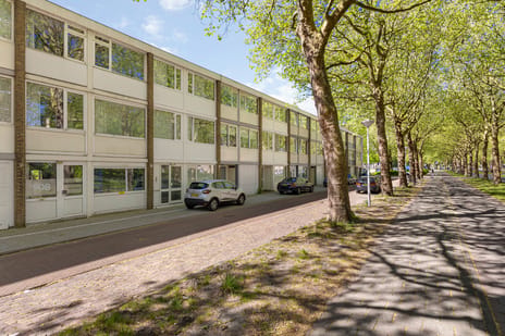 Van Nijenrodeweg thumbnail
