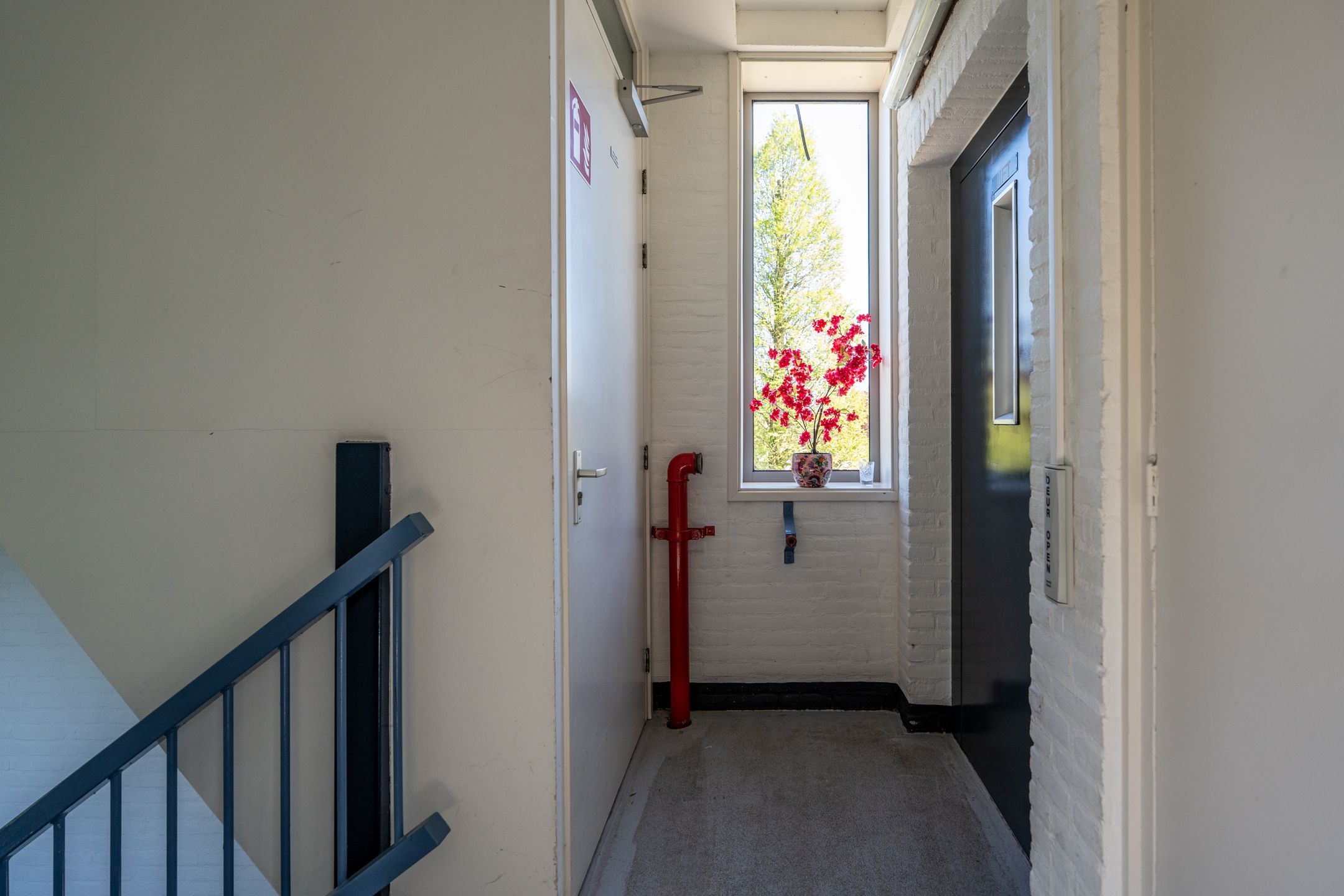 Photo 24 of Stadhouderslaan 94