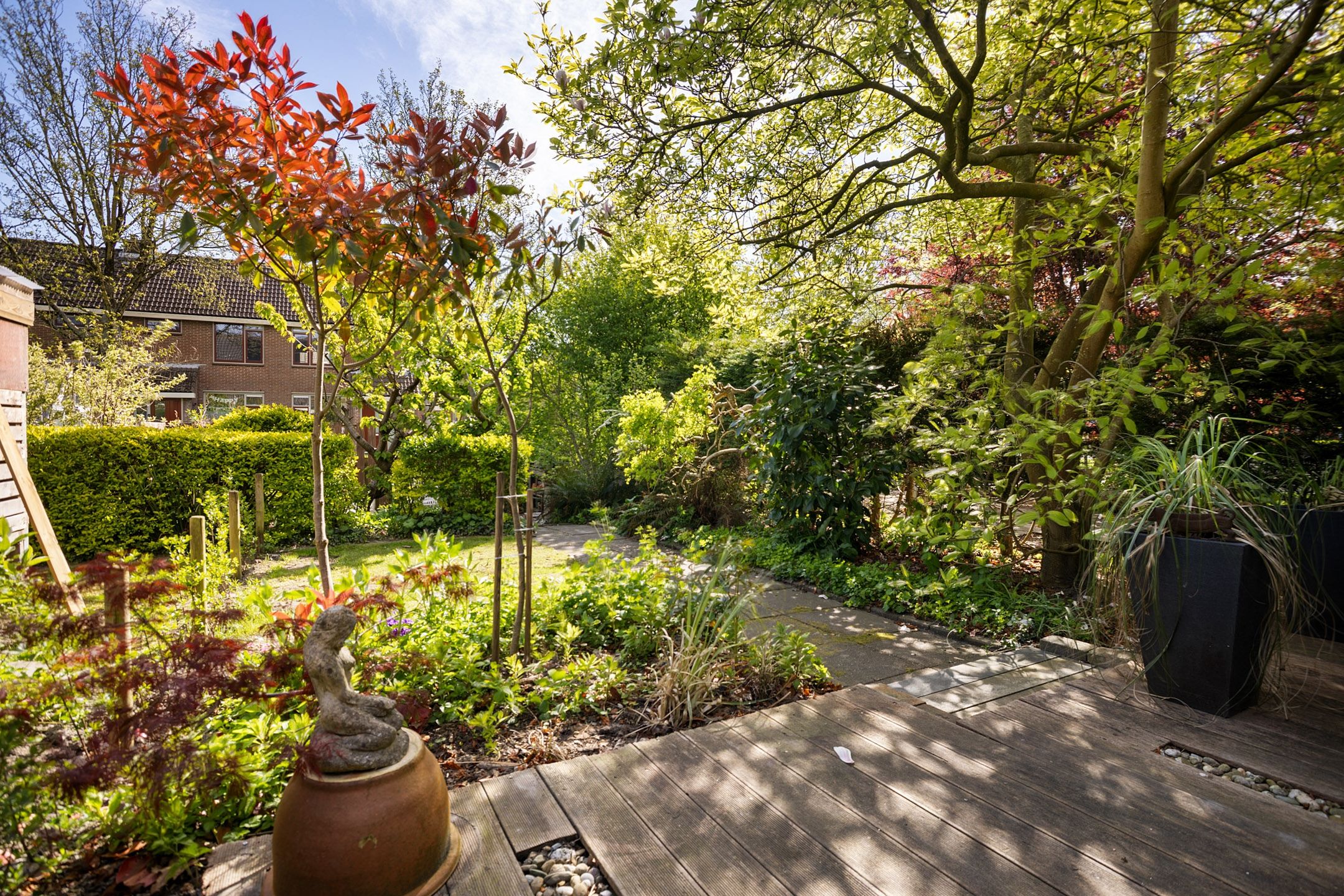 Photo 21 of Zwanebloem 45