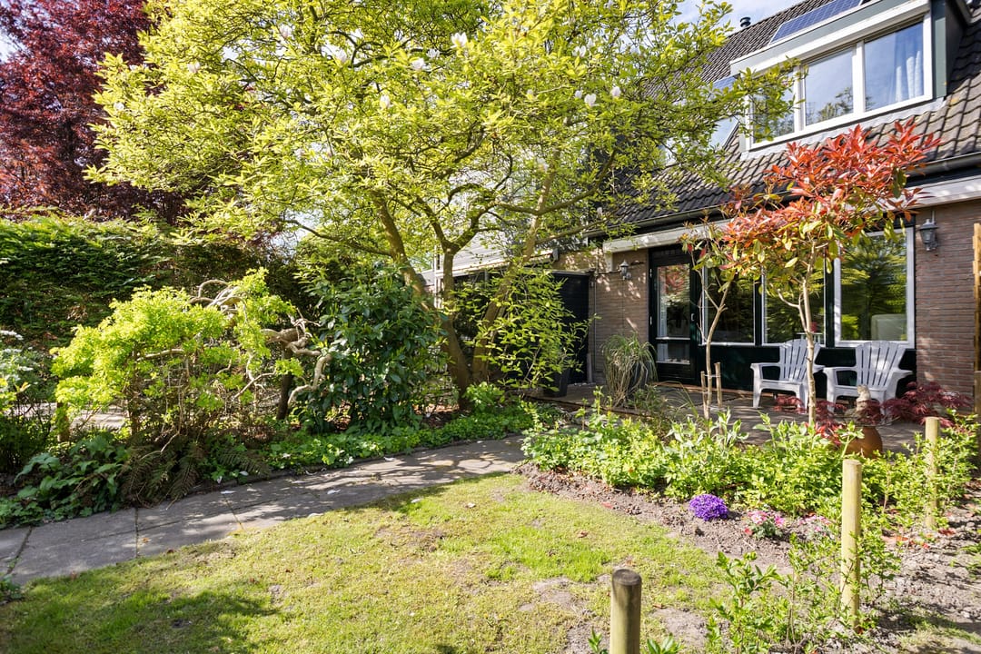 Photo 23 of Zwanebloem 45